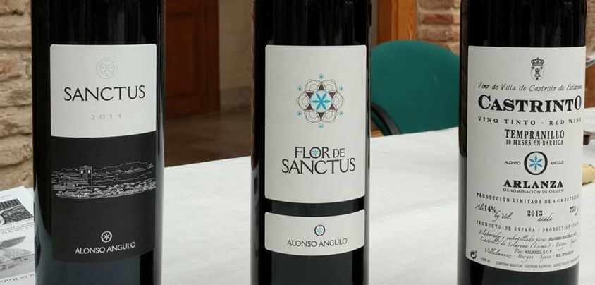 Alonso Angulo, Arlanza DO