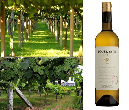 Bouza do Rei, Rias Baixas DO