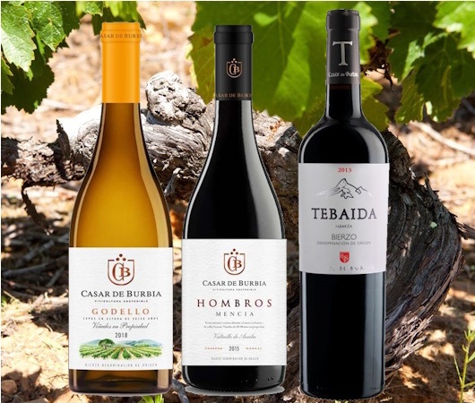 Casar de Burbia, Bierzo DO