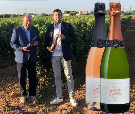 Celler Jan Vidal, Cava DO