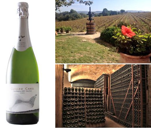 Cellers Carol Valles, Cava DO