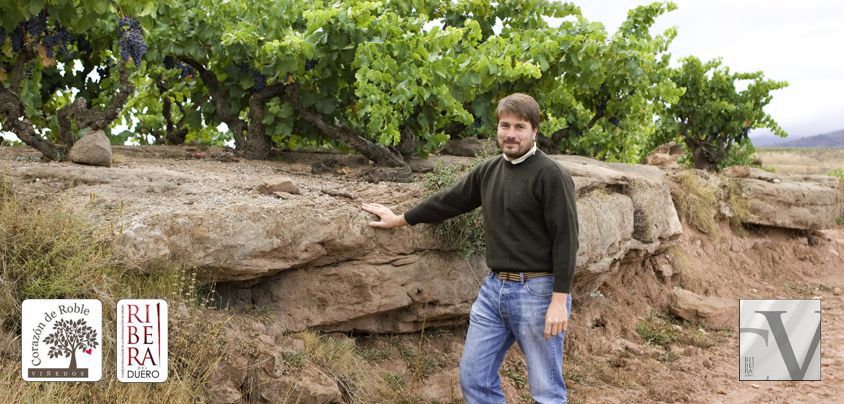 Corazon de Roble, Cuesta de las Virgenes, Ribera del Duero DO