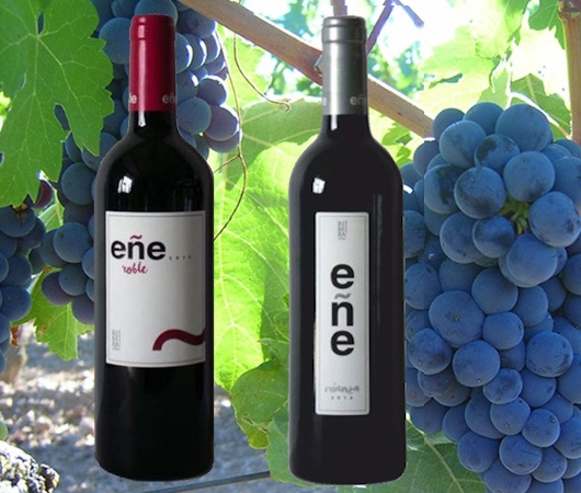 Corazon de Roble, Ribera del Duero DO