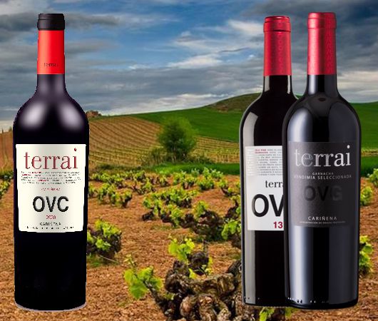 Covinca, Terrai, Carunena DO
