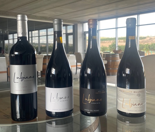 Dominio Lubiano, Velvety Wines, Ribera del Duero DO