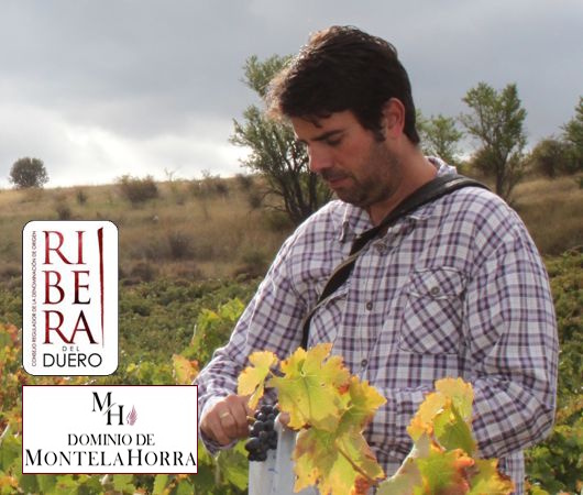 Dominio de MonteLaHorra, Ribera del Duero DO, Premium