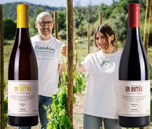 Encima Wines, Bierzo DO