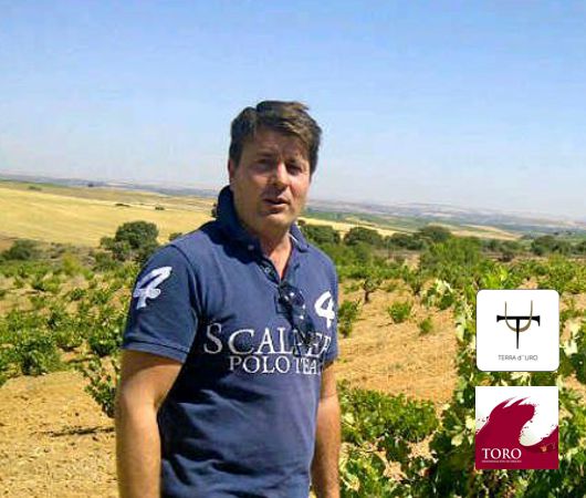 Hacienda Terra d'Uro,Toro DO