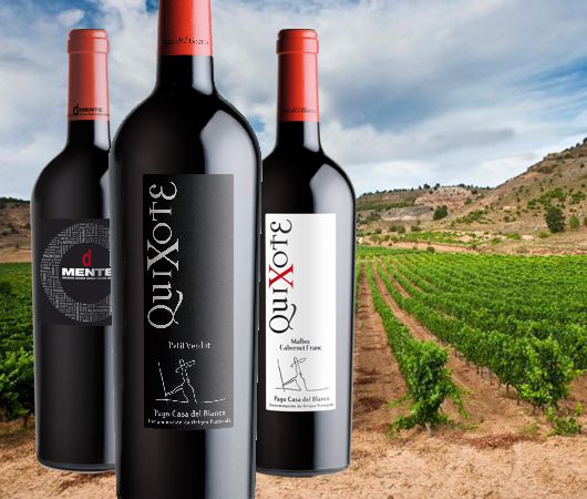 Pago Casa del Blanco, Vino de Pago DOP und Castilla IGP