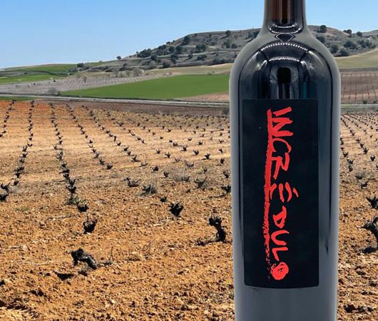 Bodegas Pago de Cubas, Toro DO